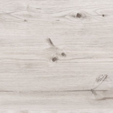 biskayskaya-sosna-232x232